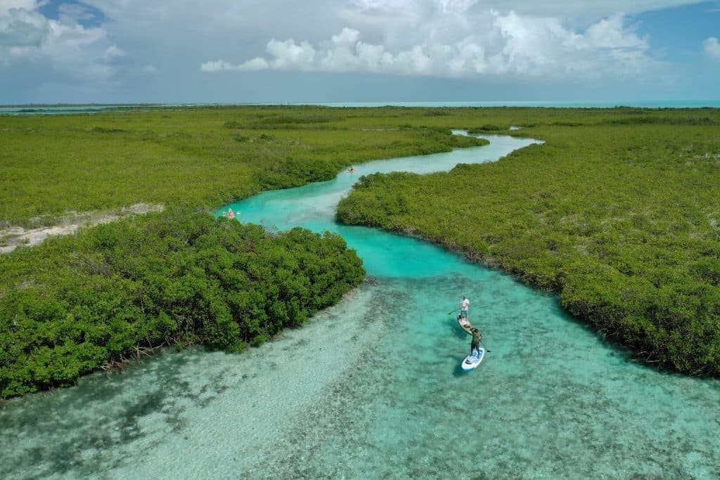 SUP and Kayaking in Trks and Caicos