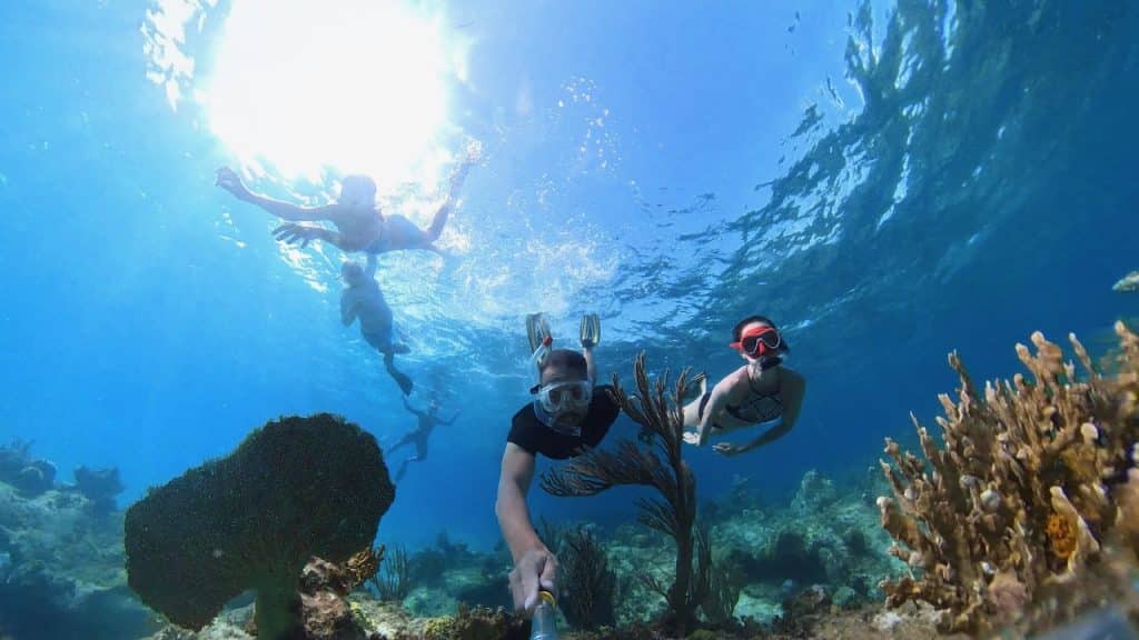 snorkeling